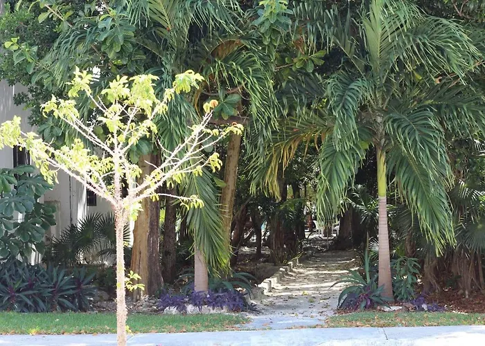 Residencial Alborada Aura De Selva Apartment Puerto Morelos